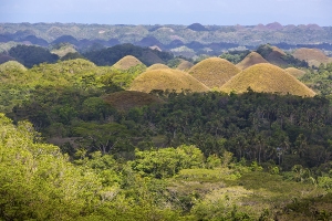 Chocolate Hills