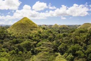 Chocolate Hills