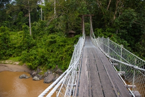 Most přes řeku Segama