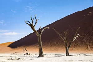 Deadvlei, poušť Namib, Namibie